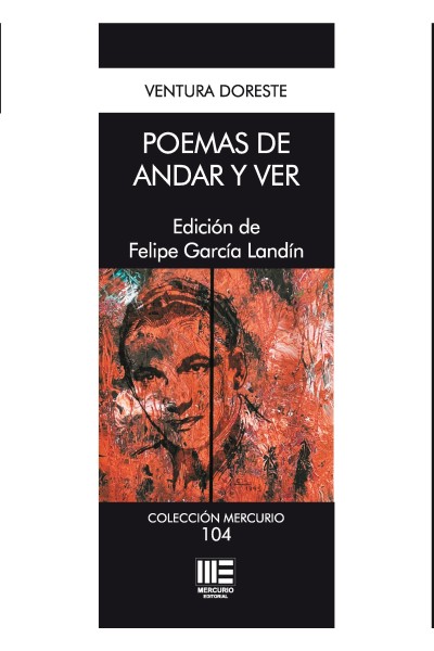 Poemas de andar y ver