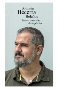 En esa otra vida de la piedra | Poesía contemporánea | Antonio Becerra Bolaños