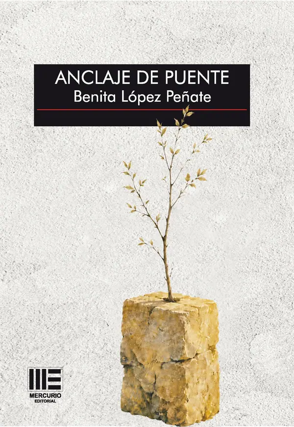Anclaje de puente (Col. Sicut Verba)